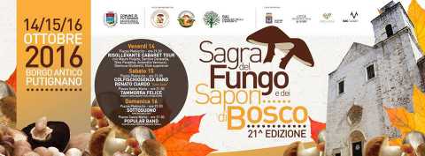 Putignano, 21 ''Sagra del fungo e dei sapori del bosco'': il programma completo